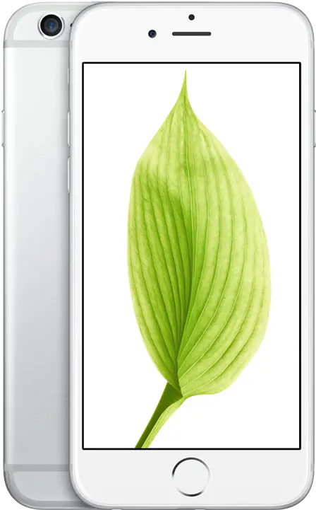 iPhone 6