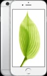iPhone 6